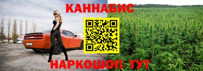 шишки Кингисепп