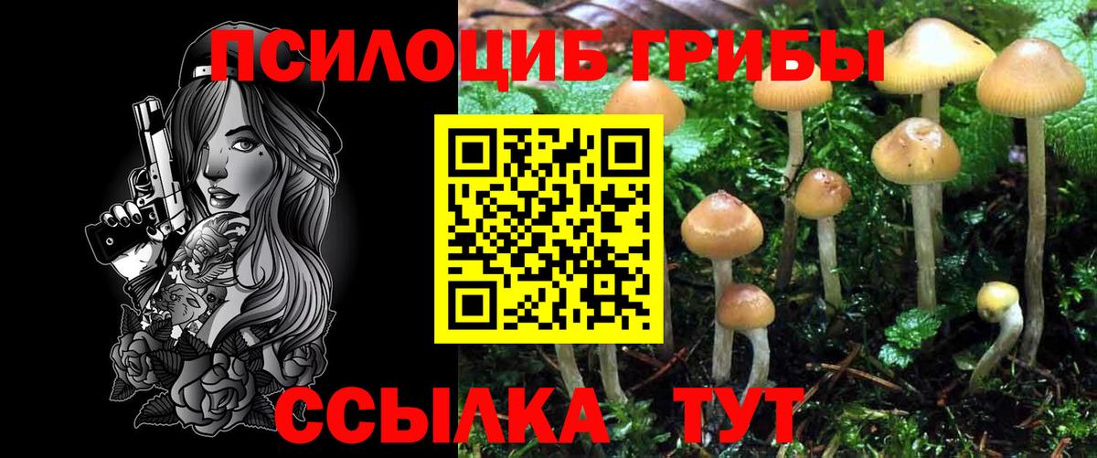 Элиста  Псилоцибиновые грибы прущие грибы  Вход с VPN  Галлюциногенные грибы GOLDEN TEACHER 
