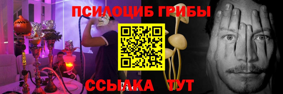 Галлюциногенные грибы мицелий Элиста